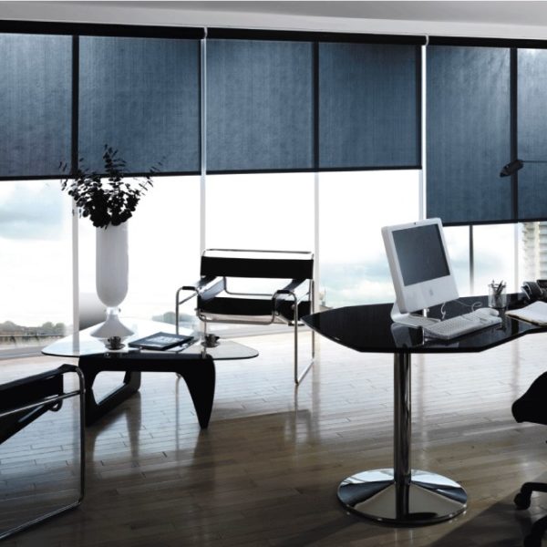 blinds-for-office-special-categories-office-blinds-blinds-on-windows.png